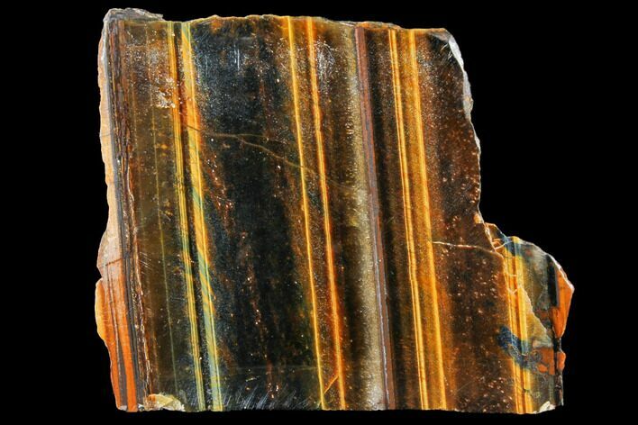 Polished Tiger's Eye Section - South Africa #128459